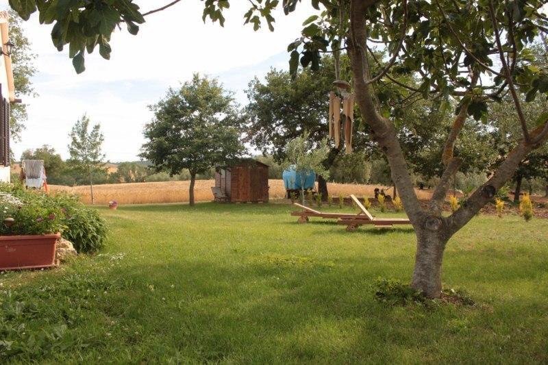 Agriturismo Da Remo Magliano in Toscana Luaran gambar