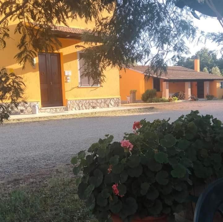 Agriturismo Da Remo Magliano in Toscana Luaran gambar