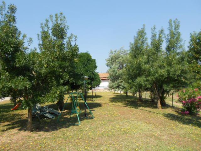 Agriturismo Da Remo Magliano in Toscana Luaran gambar