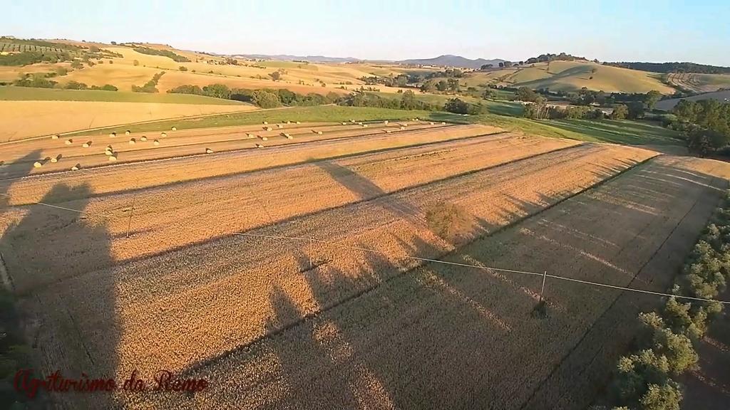 Agriturismo Da Remo Magliano in Toscana Luaran gambar