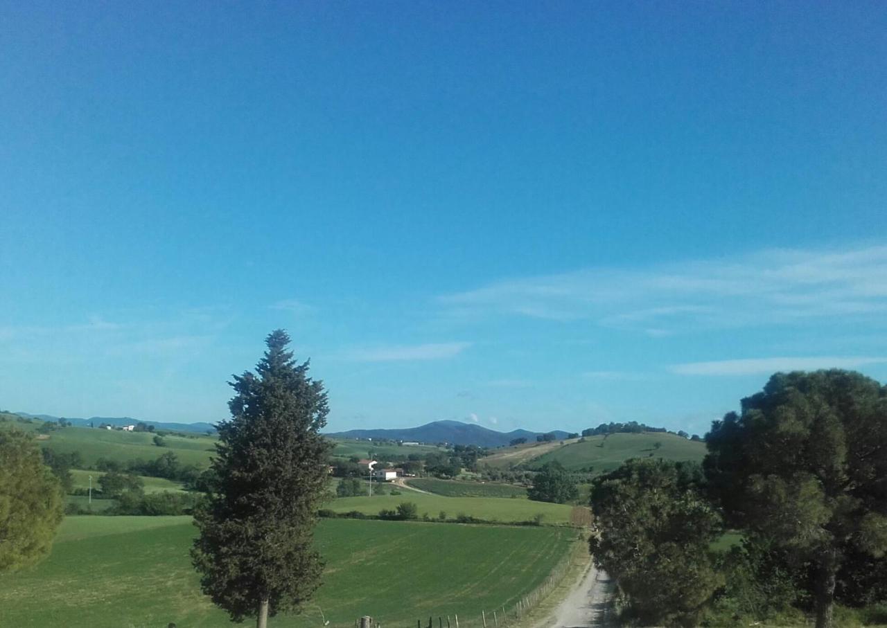 Agriturismo Da Remo Magliano in Toscana Luaran gambar