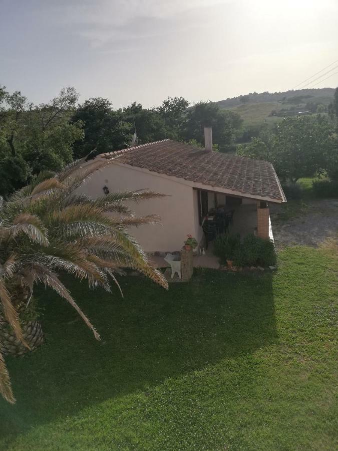 Agriturismo Da Remo Magliano in Toscana Luaran gambar